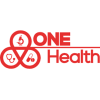 Untitled design (18)